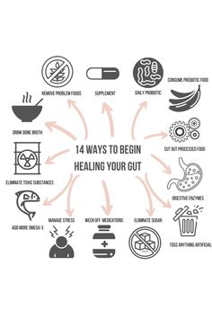 14 Ways For Gut Healing And Healthy Digestion Healing Your Gut, Skincare Mistakes, Prebiotic Foods, B12 Deficiency, Improve Gut Health, Gut Healing, Gut Microbiome