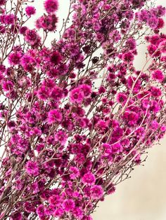 a bunch of purple flowers are in a vase