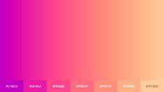 an image of the colors in this website page are pink, purple and oranges