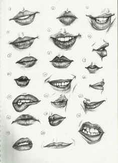 a pencil drawing of various mouths and lips with different shapes, sizes, and colors