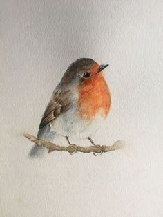 a watercolor painting of a bird sitting on a branch