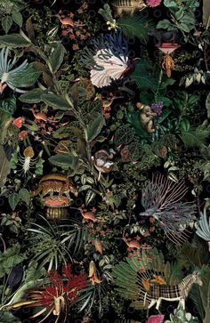 an image of many different plants and animals in the forest, with leaves and flowers all over them