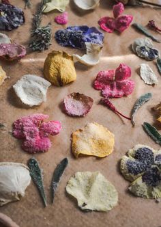 several different colored flowers on a piece of brown paper with white and pink flecks