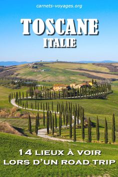 the cover of toscane trail magazine, featuring an image of a road and trees