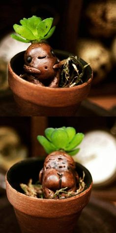 two clay pots with plants growing out of them