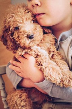 a young boy holding a brown dog in his arms