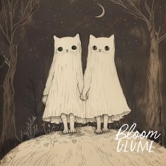 two white cats standing on top of a hill holding hands with the caption blossom glime