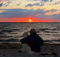 a person sitting on the beach with a dog watching the sun go down over the ocean