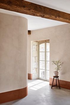 an empty room with a potted plant in the corner