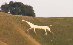 a white horse is painted on the side of a hill with trees in the background