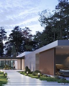 an exterior view of a modern house in the woods at dusk with trees and grass on either side