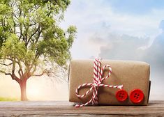 a present wrapped in brown paper with a red button on it and a tree behind it