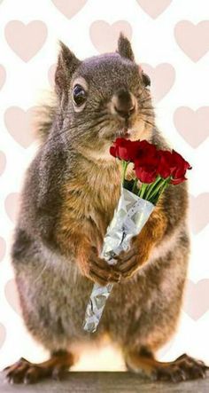 a squirrel holding a bouquet of red roses