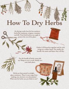 Dry Herbs, Witch Herbs, Green Witchcraft, نباتات منزلية, Magic Herbs, Magical Herbs, Herbal Apothecary, Herbal Healing