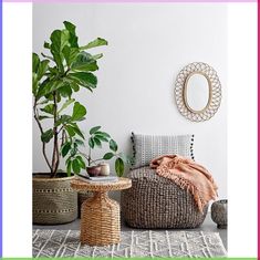 a living room filled with furniture and a potted plant on top of a table