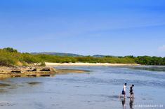 two people are walking along the beach in shallow water, with trees and sand behind them