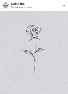 a drawing of a single rose on paper with the words swink inc sydney, australia