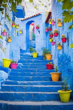 the stairs are painted bright blue and have flower pots on them