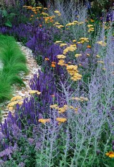 the garden is full of colorful flowers and plants with purple, yellow and white blooms