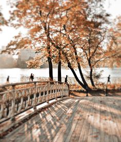 people are walking across a bridge in the fall near some trees with orange leaves on them