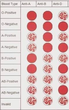 the blood type chart shows different types of blood and how it is used to treat