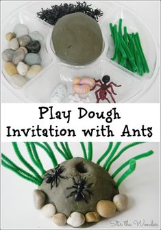 play dough with ants and rocks in the shape of a ball, spider webs