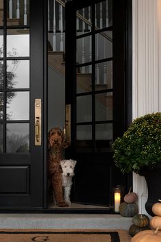 two dogs are standing at the front door