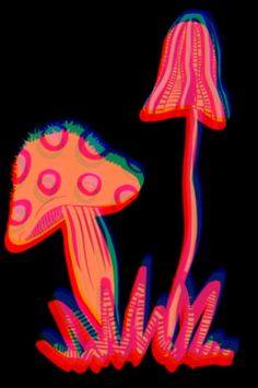 an image of two mushrooms in the dark with neon colors on it's surface