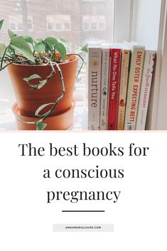 the best books for a conscious pregnancy are on display in front of a window