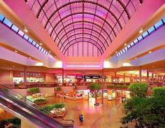 an indoor mall filled with lots of shops and people on escalators next to trees