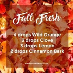 Fall Fresh Diffuser Blend | Fall Essential Oil Diffuser Blend | Wild Orange, Clove, Lemon and Cinnamon essential oils Fall Essential Oil Diffuser Blends, Orange Clove, Cinnamon Essential Oil, Yl Essential Oils