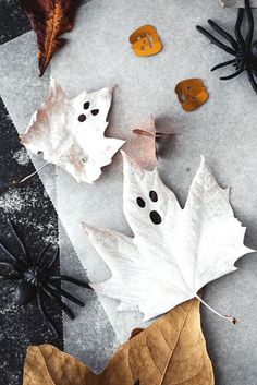 some leaves that have been placed on the ground with buttons and spider webs around them