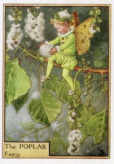 a little fairy sitting on top of a leafy branch with flowers in the background