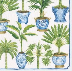 blue and white potted plants on a napkin