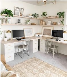 a home office with two computer desks and shelves on the wall above them, along with potted plants