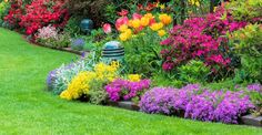 colorful flower garden with green grass and flowers