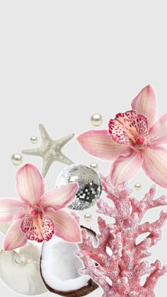 pink flowers and seashells on a white background with pearls in the bottom right corner