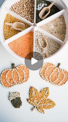 an overhead view of various grains and spices arranged in a pie pan with the word fall written on it