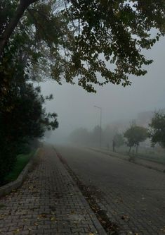 an empty street in the middle of a foggy day with trees on both sides