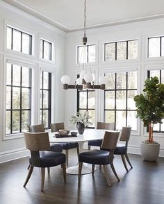 a dining room table with chairs and a potted plant in the middle of it