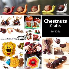 many different types of chestnuts and nuts are shown in this collage with the words chestnutnuts crafts for kids