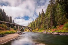 a bridge over a river in the middle of a forest with rocks and trees around it