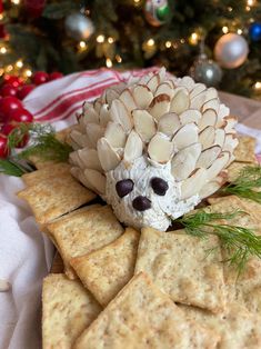 a pine cone is sitting on top of crackers and looks like a hedgehog