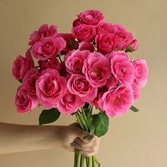 a person holding a bouquet of pink roses