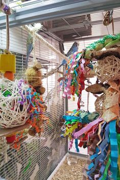 there are many bird toys hanging from the ceiling in this cage, and one is made out of shredded paper