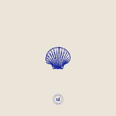 a blue sea shell on a beige background