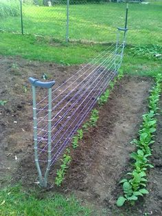 the garden is ready to be planted in the fenced off area with no grass