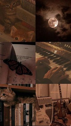 a collage of photos with cats and music instruments