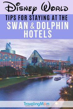 the disney world tips for staying at the swan and dolphin hotels in walt, florida