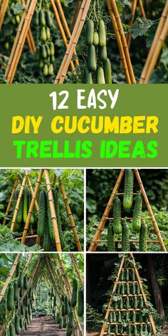 cucumbers are growing in the garden and hanging from bamboo poles with text overlay that reads 12 easy diy cucumber trellis ideas